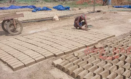 செங்கல் சூளைக்கு மண் எடுக்க அனுமதி தரப்படுமா? செங்கல் சூளைக்கு மண் எடுக்க அனுமதி தரப்படுமா?