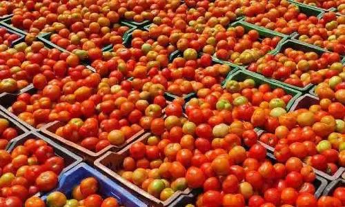 தக்காளி கிலோ ரூ.7-க்கு விற்பனை