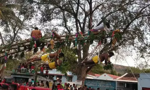 பறவை காவடி எடுத்து வந்த பக்தர்கள்