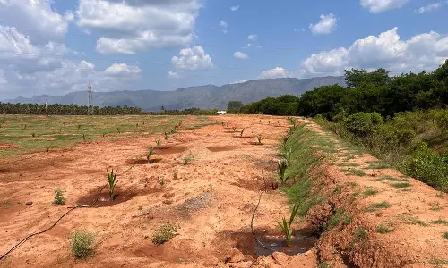 18-ம் கால்வாய் கரை பகுதியில்ஆக்கிரமிப்பை அகற்றகோரி விவசாயிகள் மனு