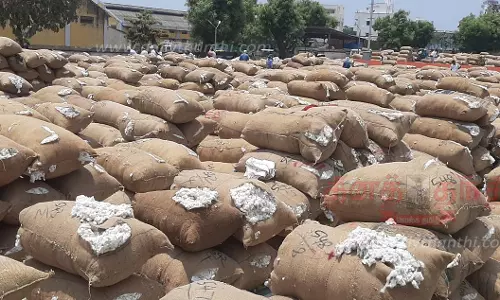 ரூ.95 லட்சத்துக்கு பருத்தி ஏலம்