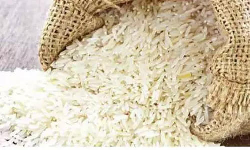 பதுக்கி வைத்திருந்த 800 கிலோ ரேஷன் அரிசி பறிமுதல் பதுக்கி வைத்திருந்த 800 கிலோ ரேஷன் அரிசி பறிமுதல்