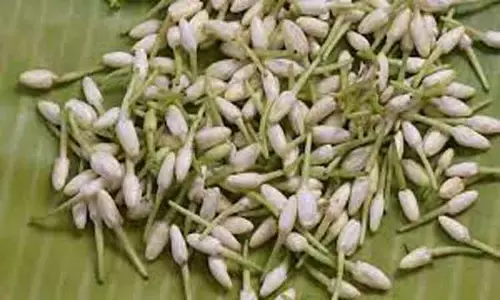 சத்தி மார்க்கெட்டில்முல்லை பூ கிலோ ரூ.640-க்கு ஏலம்