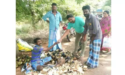 நுங்கு விற்பனை மும்முரம்