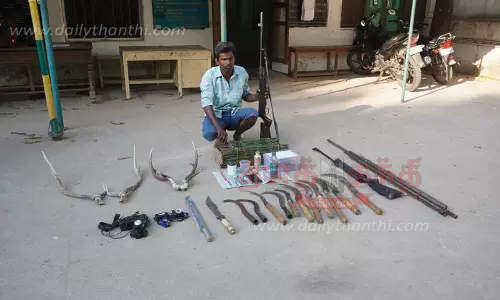 நாட்டுத் துப்பாக்கி, மான் கொம்புகள் பதுக்கிய வாலிபர் கைது