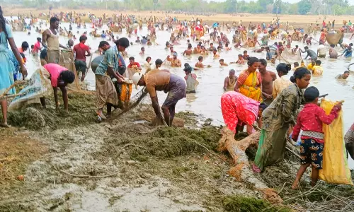 தூத்தூ கண்மாயில் மீன்பிடி திருவிழா