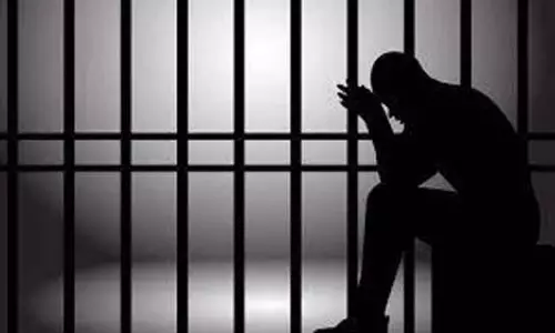 விபத்தில் விவசாயி சாவு:வேன் டிரைவருக்கு 2 ஆண்டு ஜெயில்