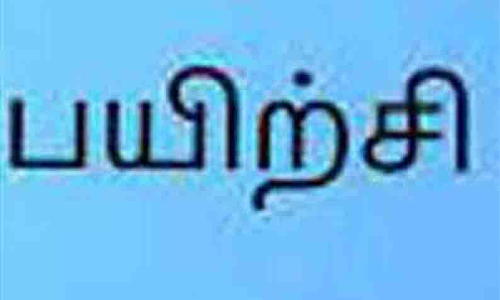 அரசு பள்ளி மாணவிகளுக்கு சிலம்ப பயிற்சி