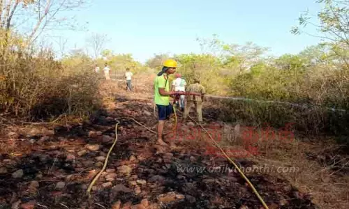 எஸ்.புதூர் அருகே காட்டுத்தீ எஸ்.புதூர் அருகே காட்டுத்தீ