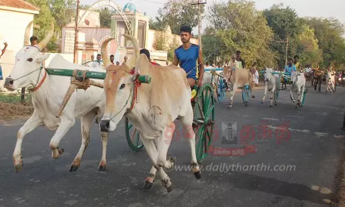 சீறிப்பாய்ந்த மாட்டு வண்டிகள் சீறிப்பாய்ந்த மாட்டு வண்டிகள்