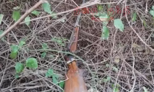 புதரில் மறைத்து வைத்திருந்த நாட்டுத்துப்பாக்கி பறிமுதல்