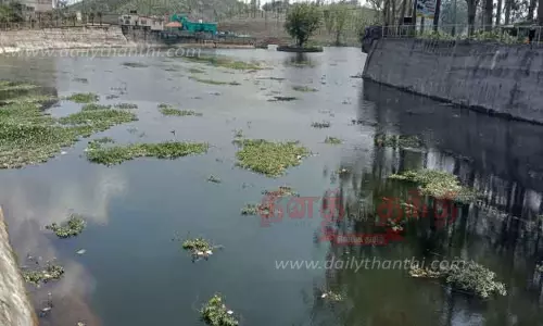 படகு இல்லத்தில் மாசடையும் தண்ணீர்