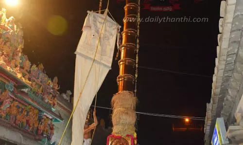 தியாகராஜர் கோவிலில் பங்குனி திருவிழா நிறைவு