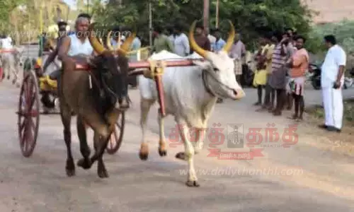 மாட்டுவண்டி எல்கைப்பந்தயம்