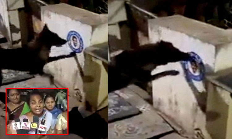 ஆந்திர பிரதேசம்: முதல்-மந்திரி ஸ்டிக்கரை கடித்த நாய்; கொதித்தெழுந்த மகளிர் போலீசில் புகார்