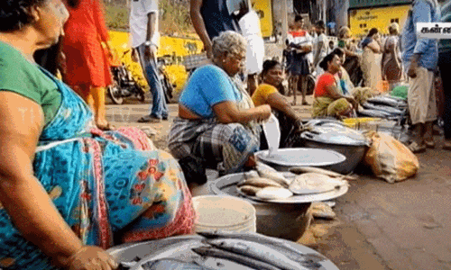 தொடங்கியது மீன்பிடி தடைகாலம் - ராக்கெட் வேகத்தில் எகிறிய மீன்கள் விலை