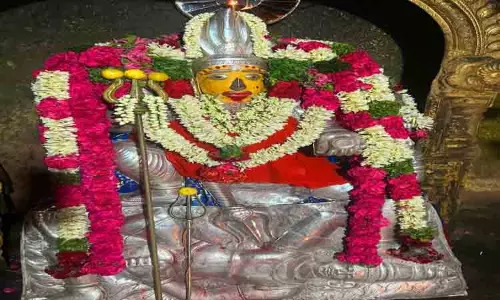 சிறப்பு அலங்காரம் சிறப்பு அலங்காரம்
