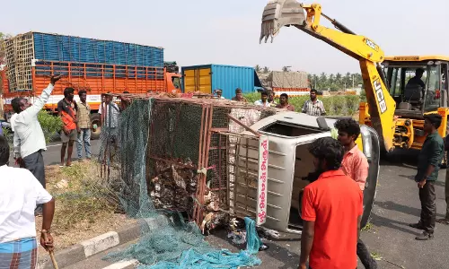புதுச்சத்திரம் அருகே தடுப்புச்சுவரில் மோதி  சரக்கு வாகனம் கவிழ்ந்து 220 வாத்துகள் செத்தன