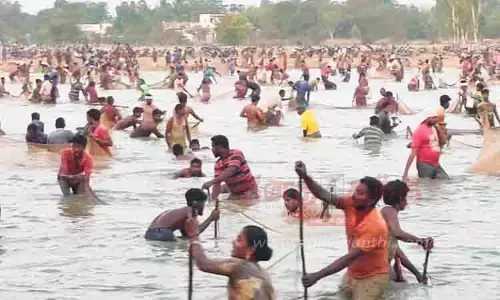 வையாபுரி நவகுடி கண்மாயில் மீன்பிடி திருவிழா வையாபுரி நவகுடி கண்மாயில் மீன்பிடி திருவிழா