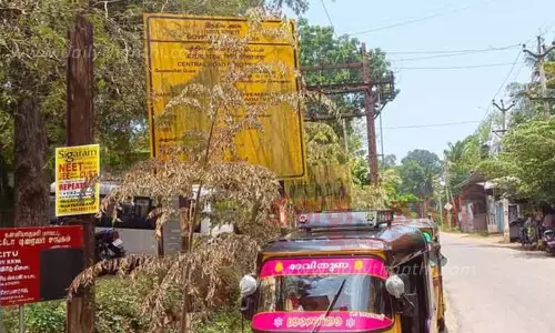 களைக்கொல்லி தெளித்து மரங்கள் அழிப்பு