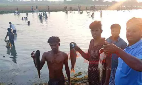 உசிலம்பட்டி, மேலூர் பகுதியில்   கண்மாய்களில் களைகட்டிய மீன்பிடி திருவிழா உசிலம்பட்டி, மேலூர் பகுதியில்   கண்மாய்களில் களைகட்டிய மீன்பிடி திருவிழா