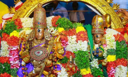 மே 2ல் மதுரை மீனாட்சி திருக்கல்யாணம்:  கட்டணம் இல்லாமல் தரிசிக்க தெற்கு கோபுரம் வழியாக முதலில் வருபவர்களுக்கு முன்னுரிமை