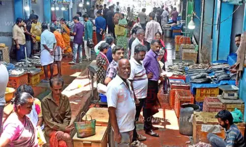 கோவையில் மீன்கள் விலை உயர்வு