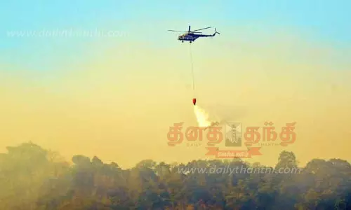 மேற்குதொடர்ச்சி மலைப்பகுதியில் பயங்கர காட்டுத்தீ