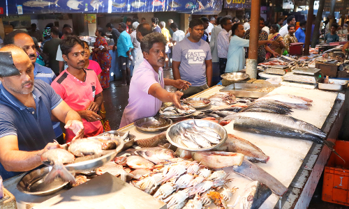 வேலூர் மார்க்கெட்டில் மீன்கள் விலை உயர்வு