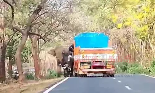 வாகனங்களை வழிமறித்த காட்டு யானை