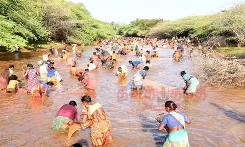 மீன்பிடி திருவிழா மீன்பிடி திருவிழா