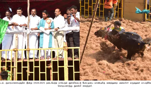 குமாரபாளையத்தில் ஜல்லிக்கட்டு; சீறிப்பாய்ந்த காளைகளை அடக்கிய காளையர்கள்-மாடுகள் முட்டியதில் 22 பேர் காயம்