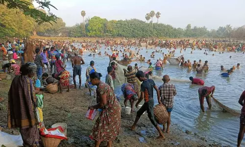 2 கண்மாய்களில் மீன்பிடி திருவிழா
