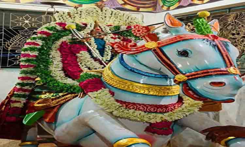 குதிரை வாகனத்தில் பிடாரியம்மன்