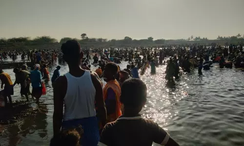 மீன்பிடி திருவிழா மீன்பிடி திருவிழா