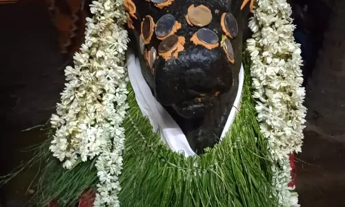 கங்கைகொண்டசோழபுரம் பிரகதீஸ்வரர் கோவிலில் பிரதோஷ விழா