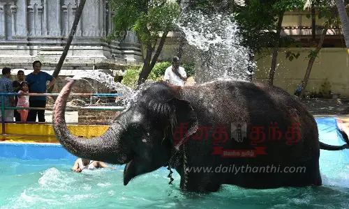 ஆதிகும்பேஸ்வரர் கோவில் யானை நீச்சல் குளத்தில் உற்சாக குளியல்