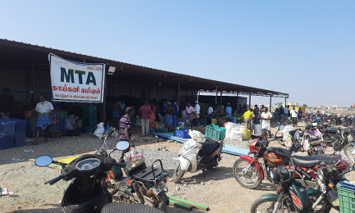 கோவில்பட்டி அருகே வியாபாரிகள் சங்கம் சார்பில்புதிய தினசரி சந்தை தொடங்கியது கோவில்பட்டி அருகே வியாபாரிகள் சங்கம் சார்பில்புதிய தினசரி சந்தை தொடங்கியது