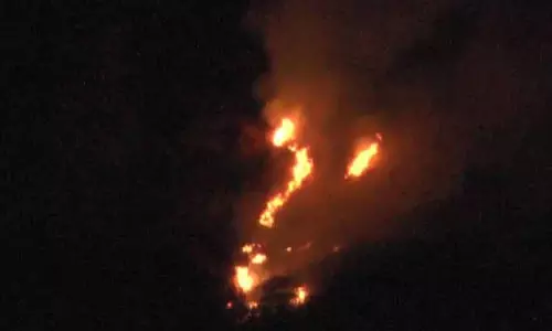 வால்பாறை அருகே வரையாட்டுப்பாறை வனப்பகுதியில் பற்றி எரியும் காட்டுத்தீ-ஹெலிகாப்டர் உதவியுடன் தீயை அணைக்க சமூக ஆர்வலர்கள் வலியுறுத்தல்