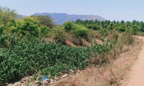 கம்பம் அருகேபுதர்மண்டி காணப்படும் 18-ம் கால்வாய்:சீரமைக்க விவசாயிகள் கோரிக்கை