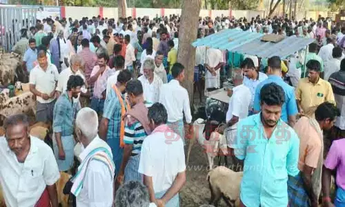 ஒரே நாளில் ரூ.1 கோடிக்கு ஆடுகள் விற்பனை