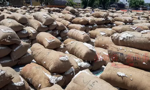 ரூ.67 லட்சத்துக்கு பருத்தி ஏலம்