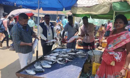 ஒகேனக்கல் மார்க்கெட்டில்300 கிலோ அழுகிய மீன்கள் பறிமுதல்