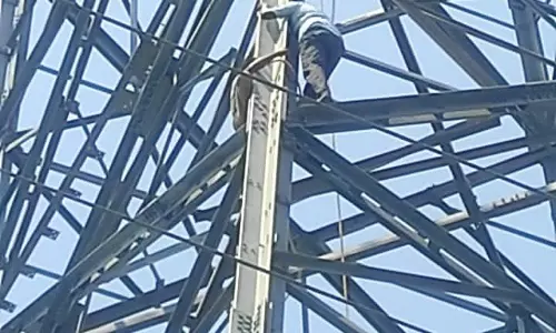 நில ஆவணத்தில் வேறு பெயர் இருப்பதாக கூறிஉயர்மின் கோபுரத்தில் ஏறிவிவசாயி தற்கொலை மிரட்டல்