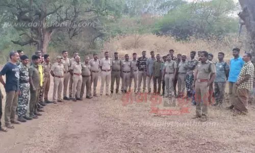 மக்னா யானை, டாப்சிலிப் வனப்பகுதிக்கு வந்தது