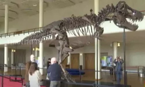 சுவிட்சர்லாந்தில் டி-ரெக்ஸ் டைனோசர் எலும்புக்கூடு 50 கோடிக்கு ரூபாய்க்கு ஏலம் சுவிட்சர்லாந்தில் டி-ரெக்ஸ் டைனோசர் எலும்புக்கூடு 50 கோடிக்கு ரூபாய்க்கு ஏலம்