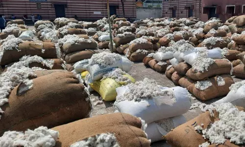 ரூ.32½ லட்சத்துக்கு பருத்தி விற்பனை ரூ.32½ லட்சத்துக்கு பருத்தி விற்பனை