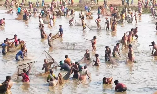 ஏணக்கண்மாயில் மீன்பிடி திருவிழா