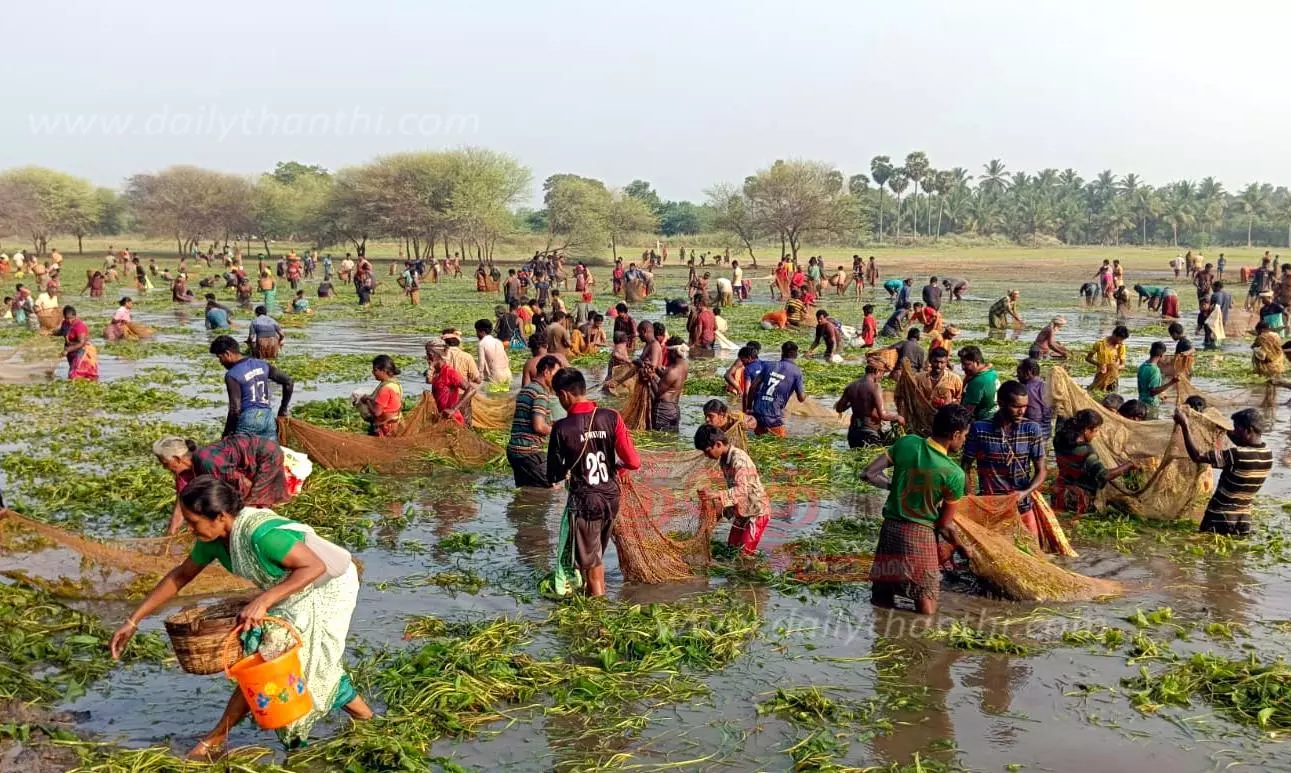 அய்யமுத்தன்பட்டியில் களை கட்டிய மீன்பிடி திருவிழா அய்யமுத்தன்பட்டியில் களை கட்டிய மீன்பிடி திருவிழா