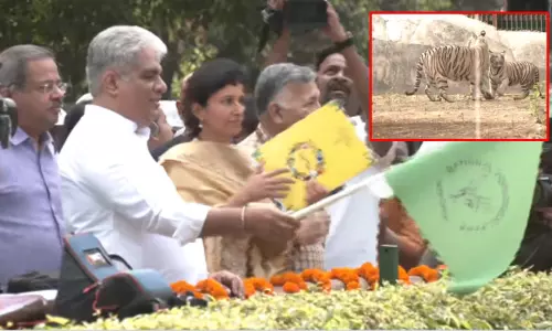 டெல்லி உயிரியியல் பூங்காவில் அரிய வகை வெள்ளை புலி குட்டிகள் திறந்து விடப்பட்டன